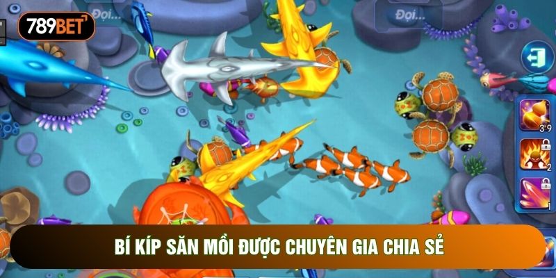 Bí kíp săn mồi được chuyên gia chia sẻ