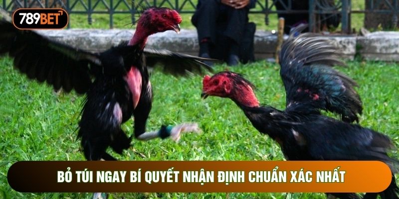 Bỏ túi ngay bí quyết nhận định chuẩn xác nhất