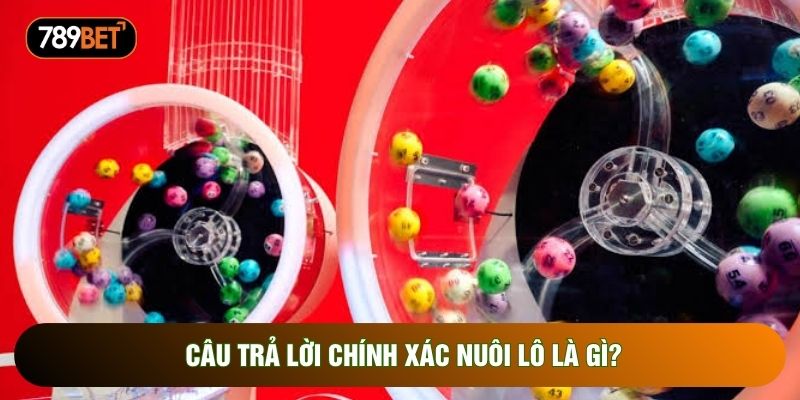 Câu trả lời chính xác nuôi lô là gì?