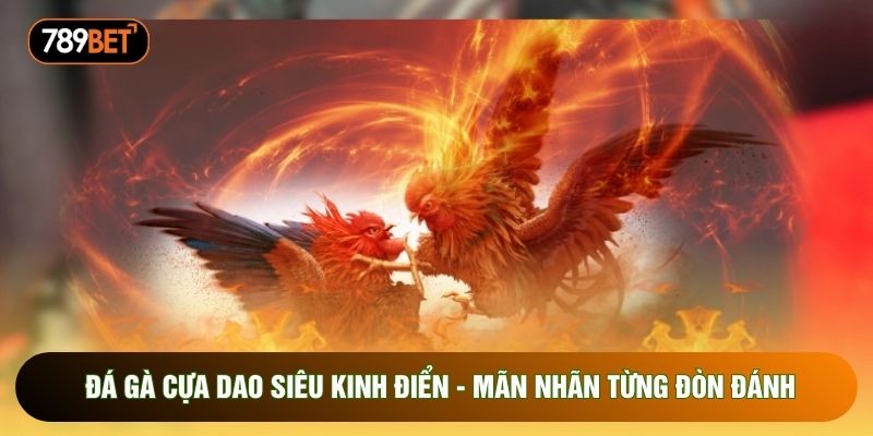 Đá Gà Cựa Dao Siêu Kinh Điển - Mãn Nhãn Từng Đòn Đánh