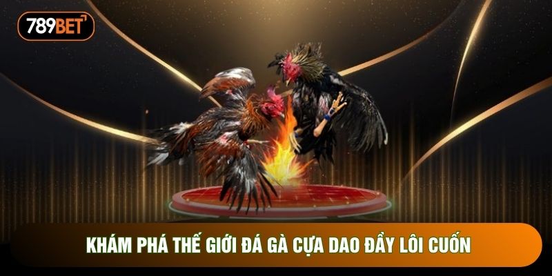 Khám phá thế giới đá gà cựa dao đầy lôi cuốn