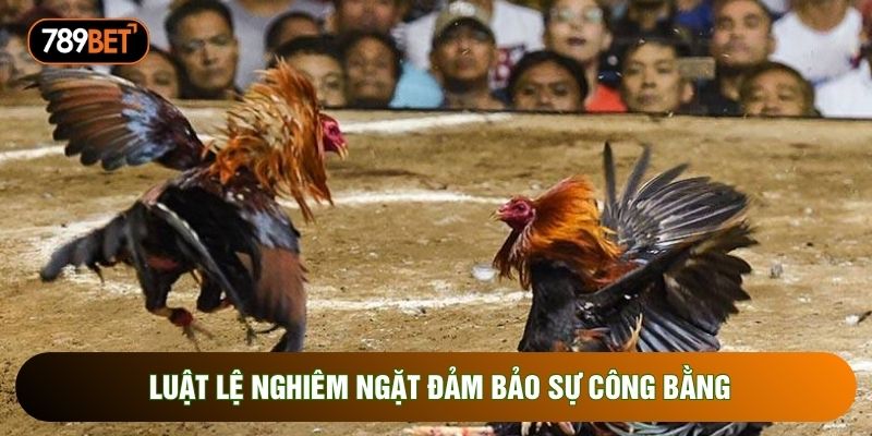 Luật lệ nghiêm ngặt đảm bảo sự công bằng