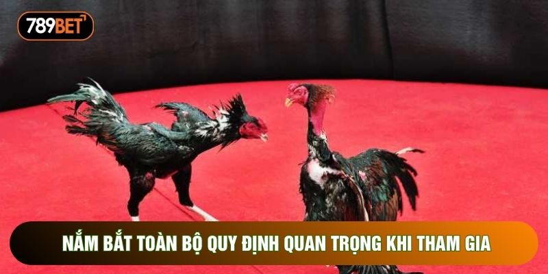 Nắm bắt toàn bộ quy định quan trọng khi tham gia