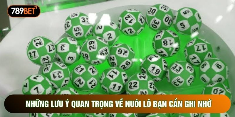 Những lưu ý quan trọng về nuôi lô bạn cần ghi nhớ