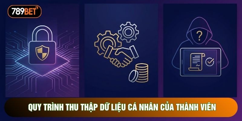 Quy trình thu thập dữ liệu cá nhân của thành viên