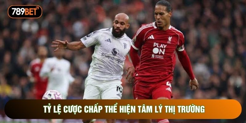 Tỷ lệ cược chấp thể hiện tâm lý thị trường Tỷ lệ cược chấp thể hiện tâm lý thị trường